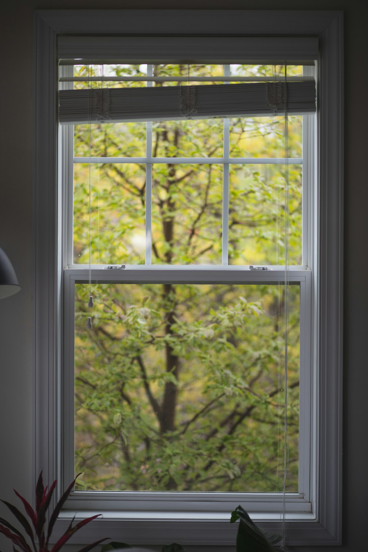 how to measure windows for replacement 5